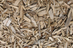 biomass boilers Ardeonaig