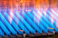 Ardeonaig gas fired boilers